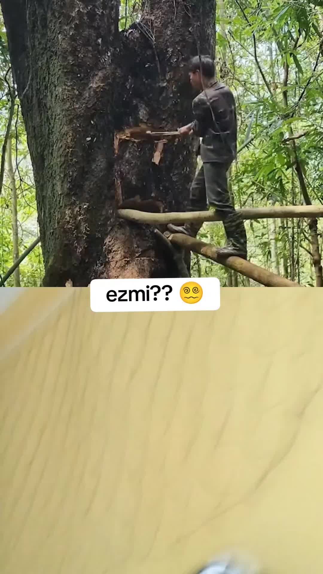 @Patuska
