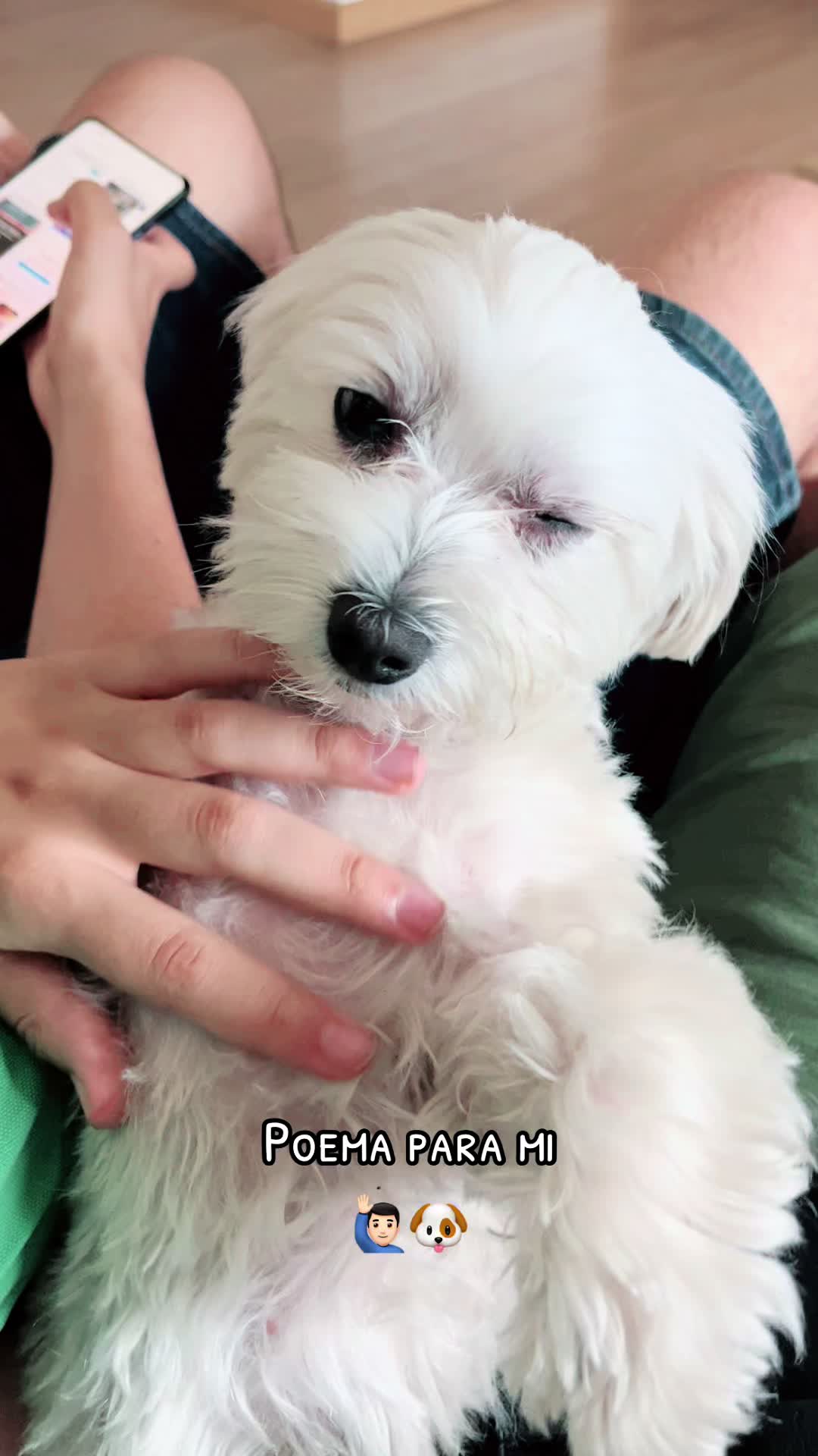 @Darla 🧡🐶🧡