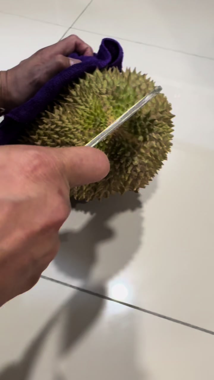 @Durian King Kaki