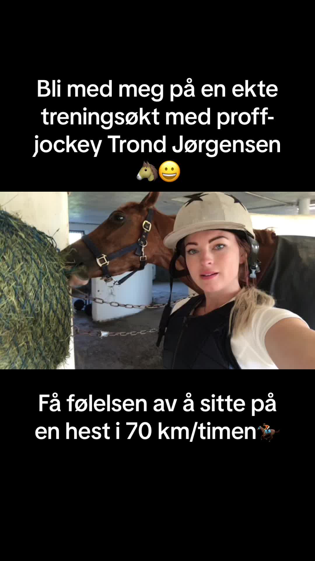 @dr.aya.vet