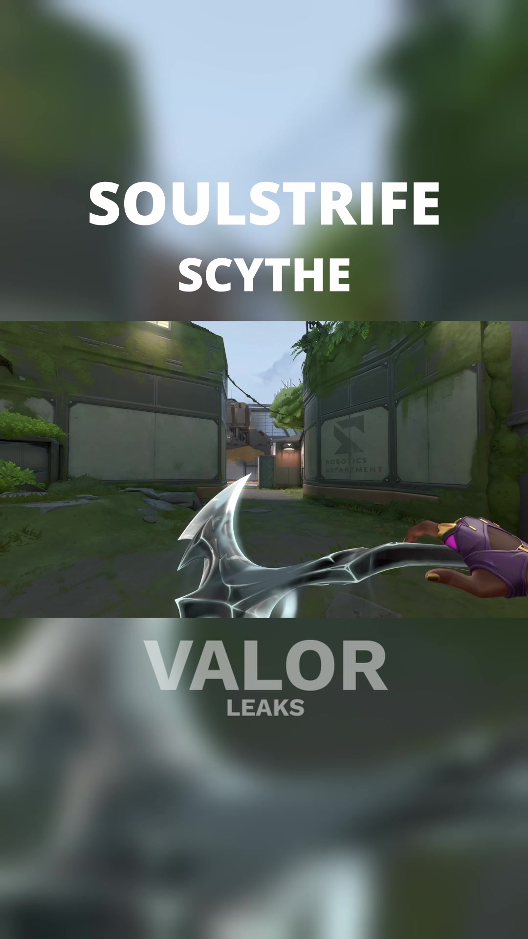 @ValorLeaks