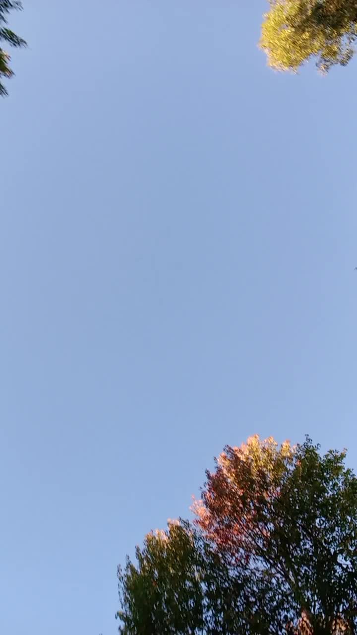 @Nata
