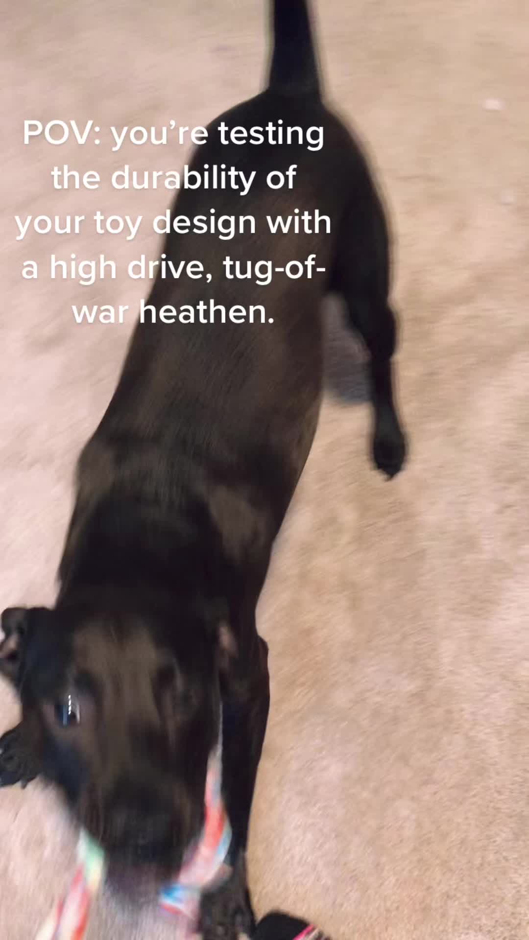 @Dywolf