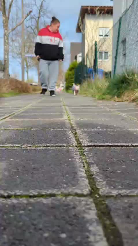 @AlphaQueen96