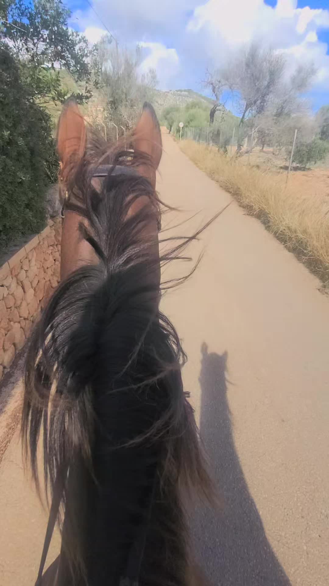 @Mallorcas pippi langstrumpf 🐴