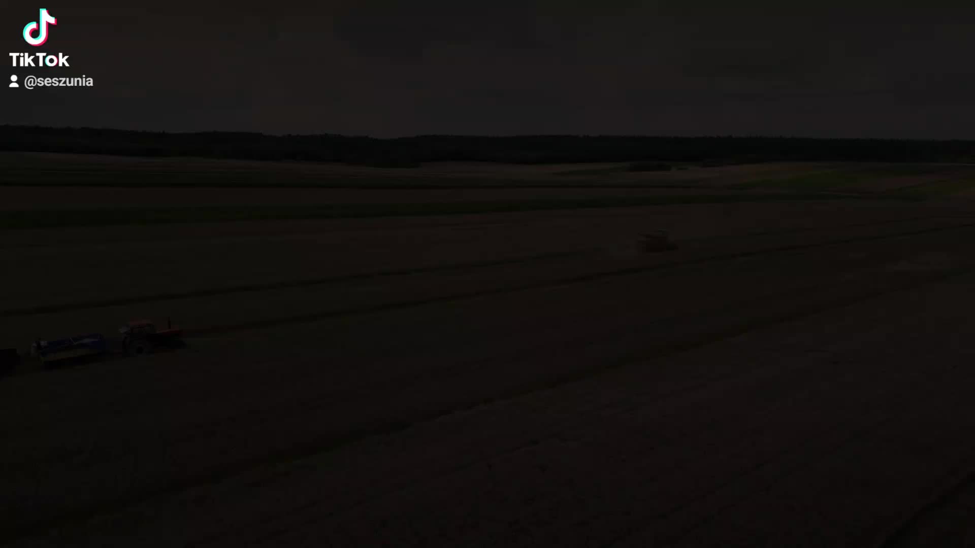 @seszunia