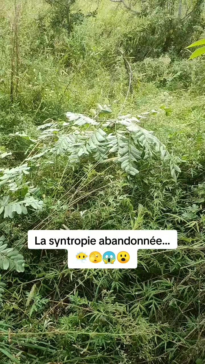@JardinsMonPlaisir