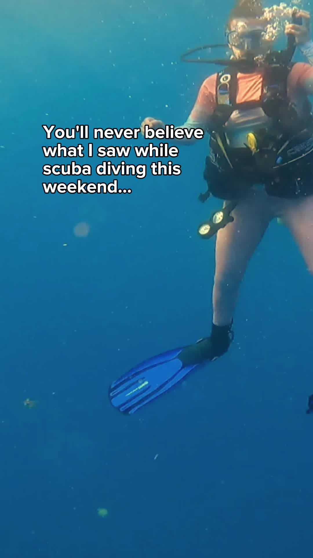 @Divernowmarine