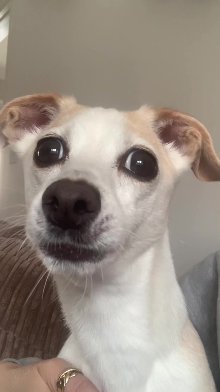 @Nala