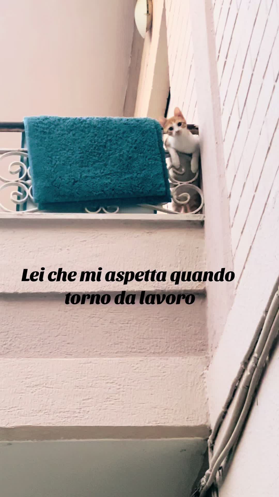@Antonella