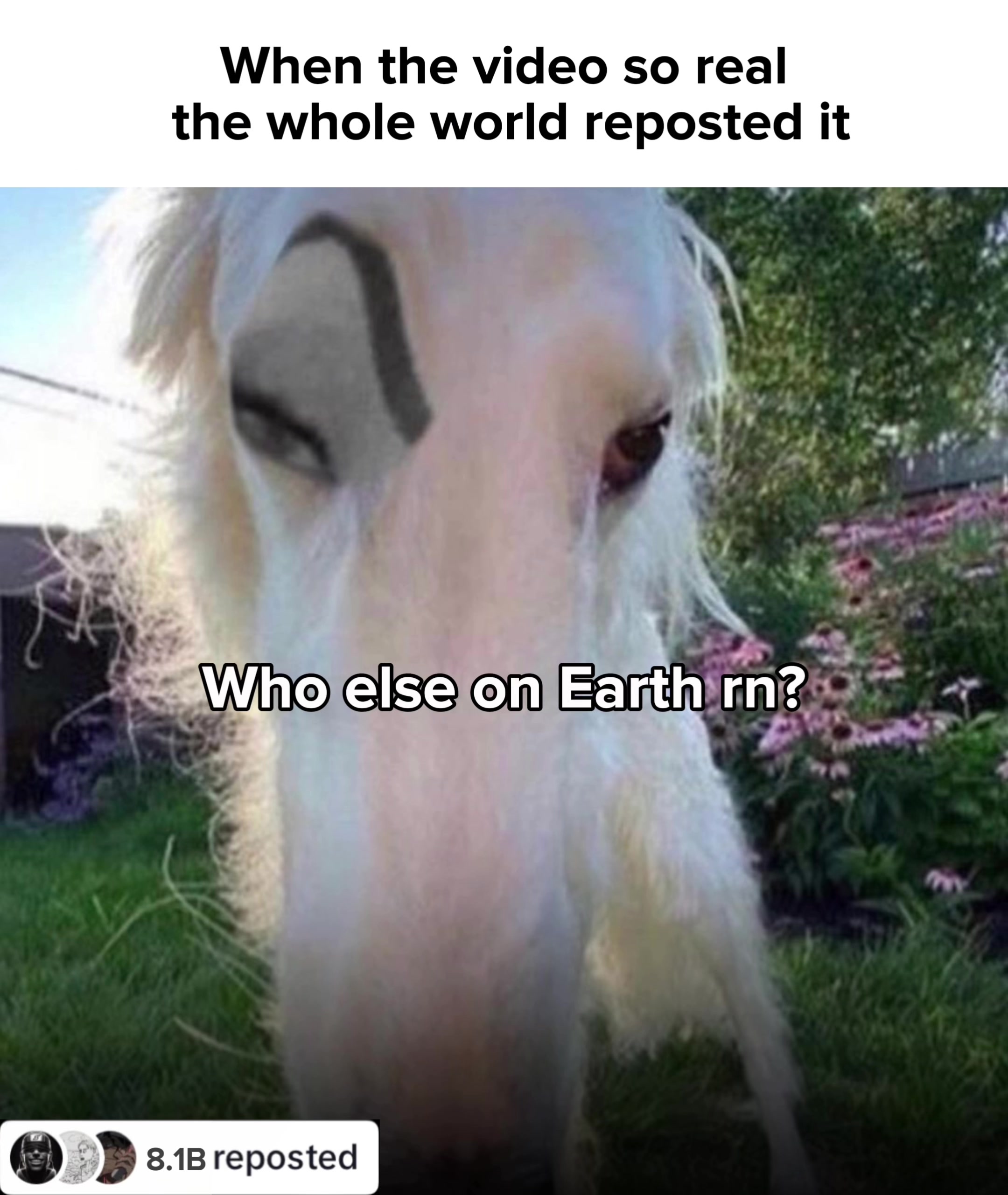 @Mz.mp4