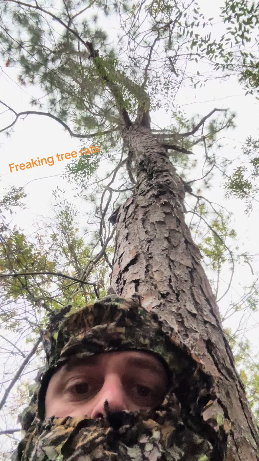 @ZappedDaddy