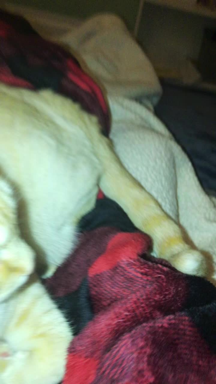 @dirtythieff