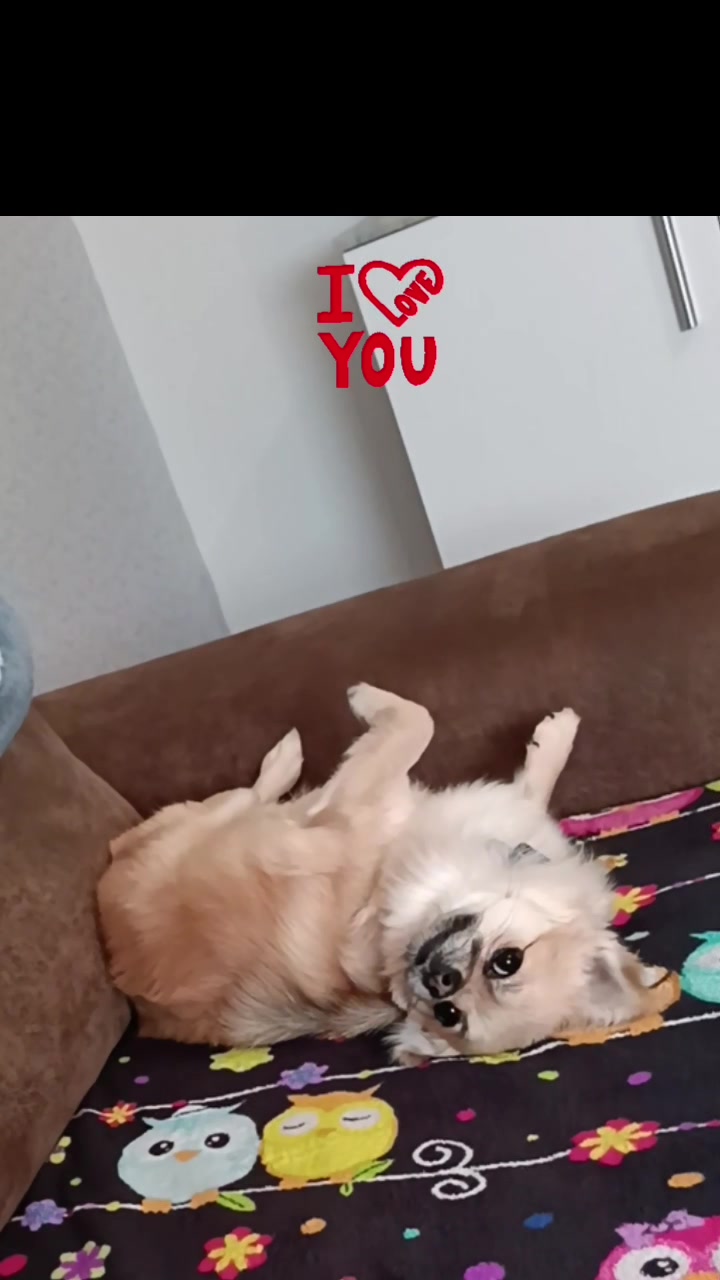 @Fluffelfluff