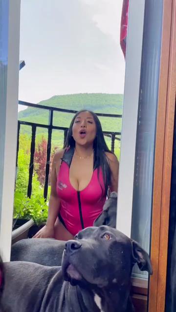 @krisyourdogtrainer