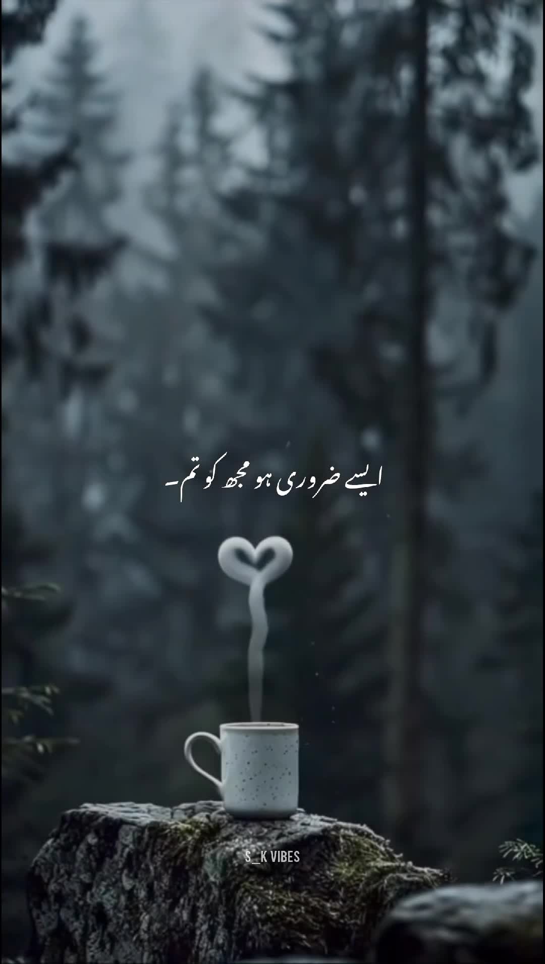 @S_K~Vibes ๐ซ