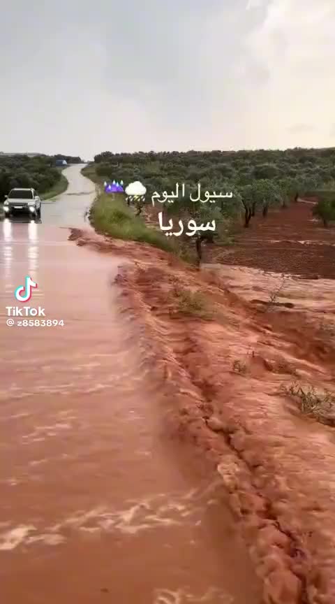 @علي الخالد