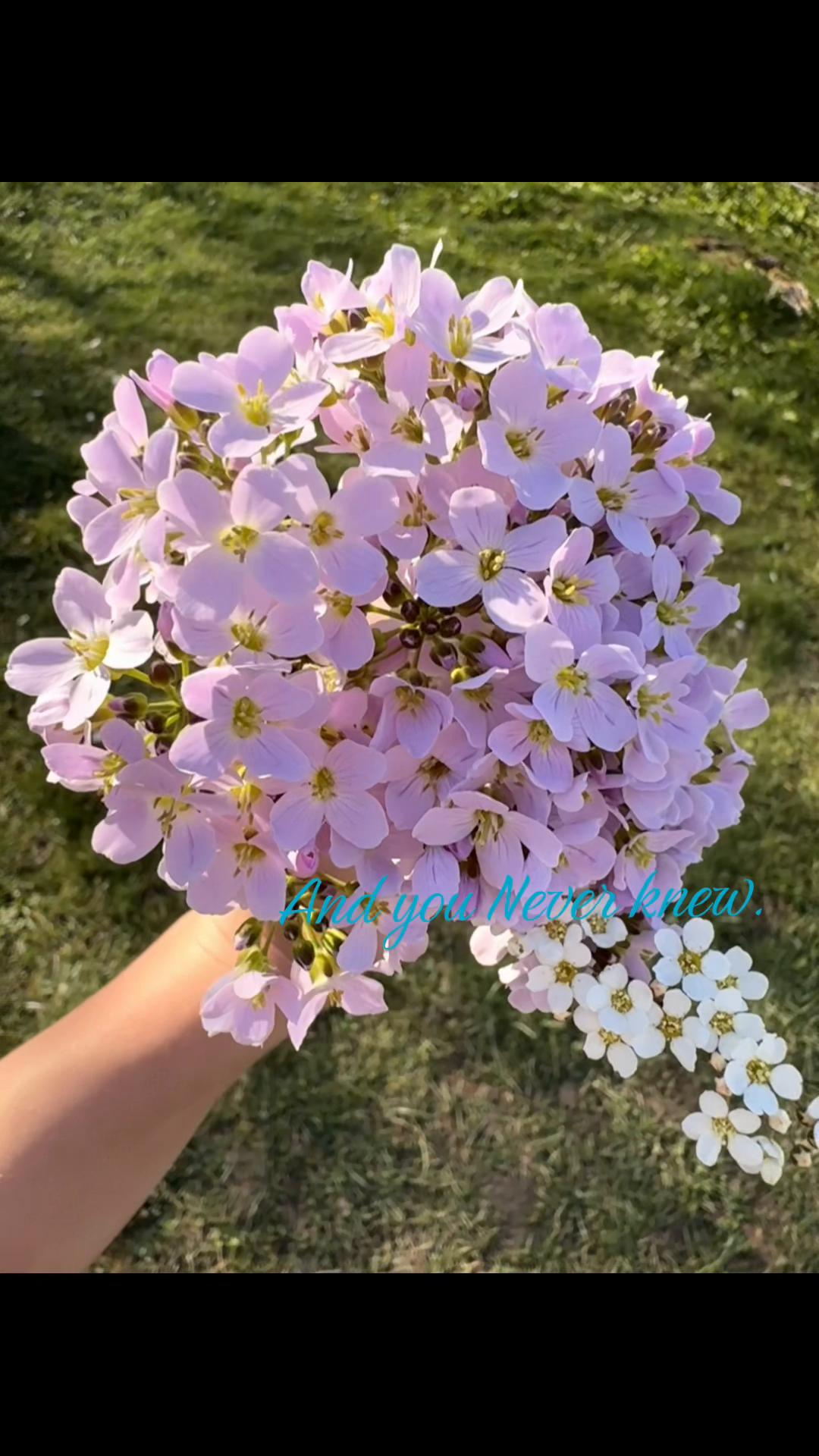 @๐ฑ๐ฌ๐บ๐บ‘๐ซ
