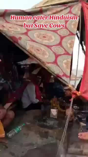 @ਸ਼ੇਰਾ ਖੁੱਭਣ