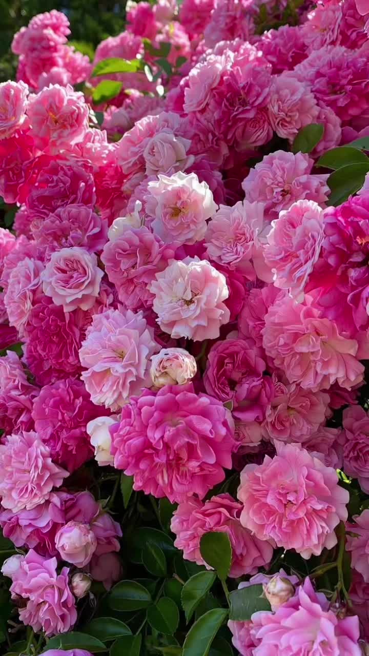 @๓illฯ111🌞