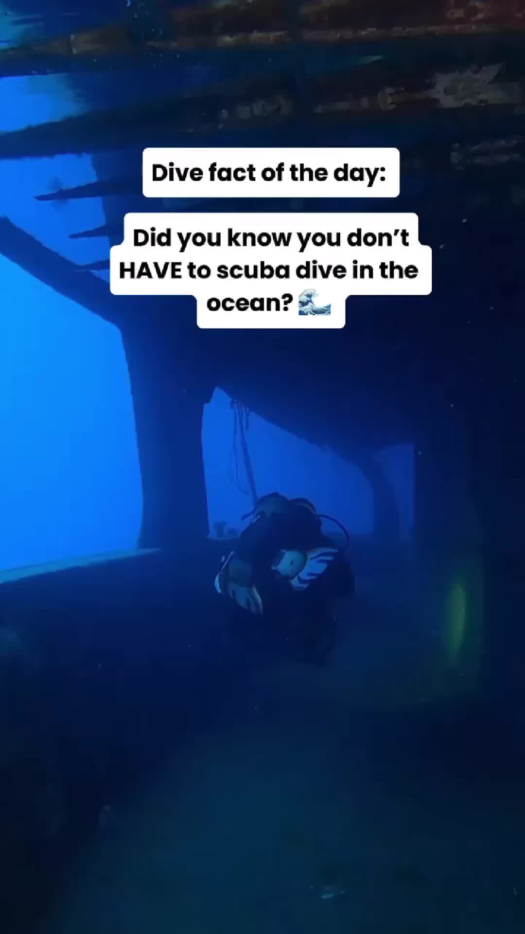 @Divernowmarine