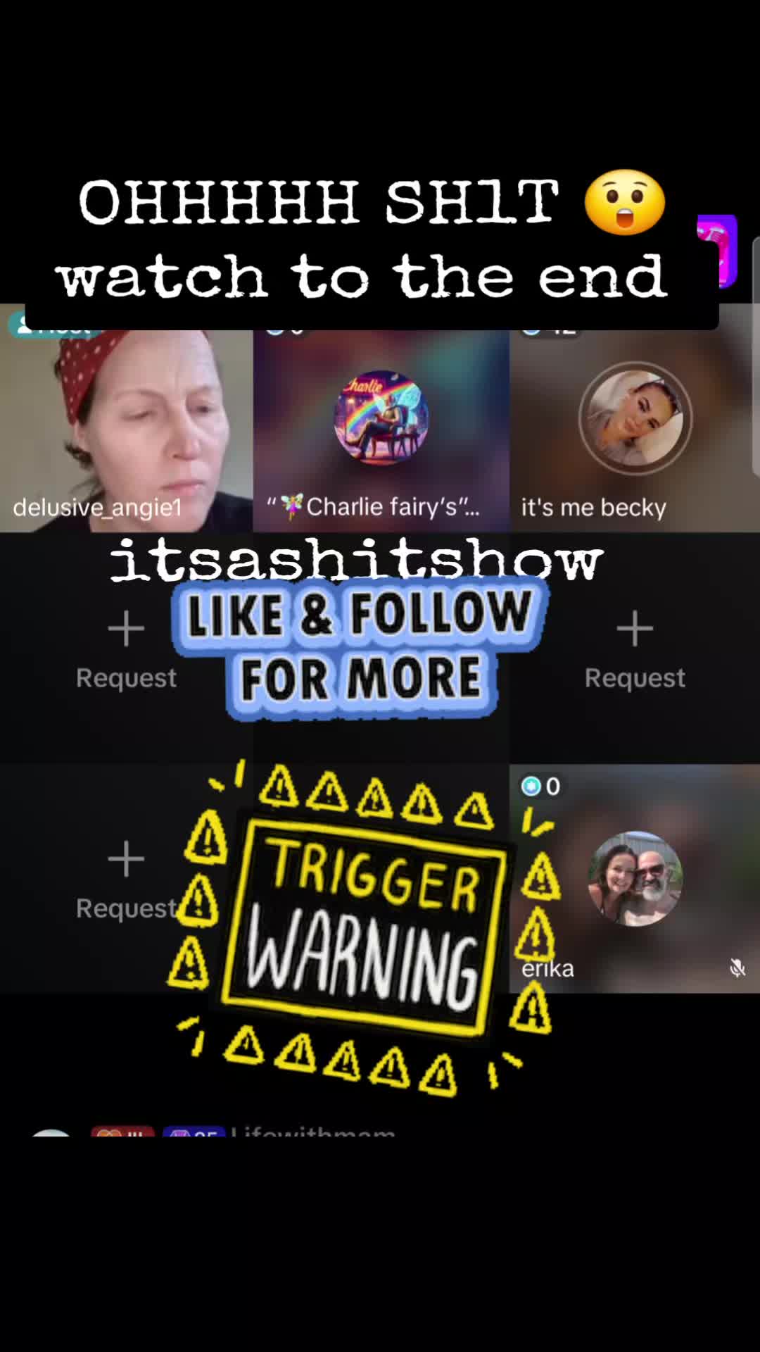 @itsashitshow