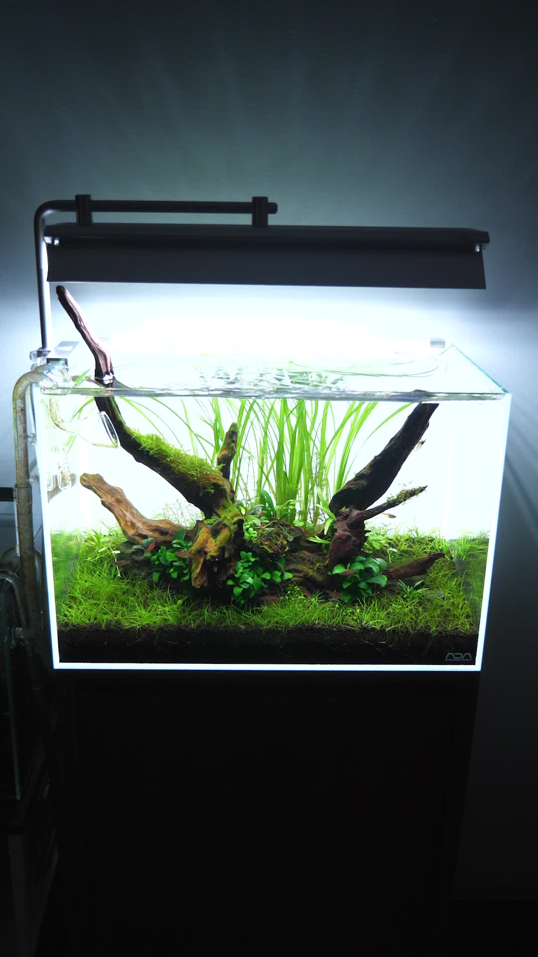 @🌱