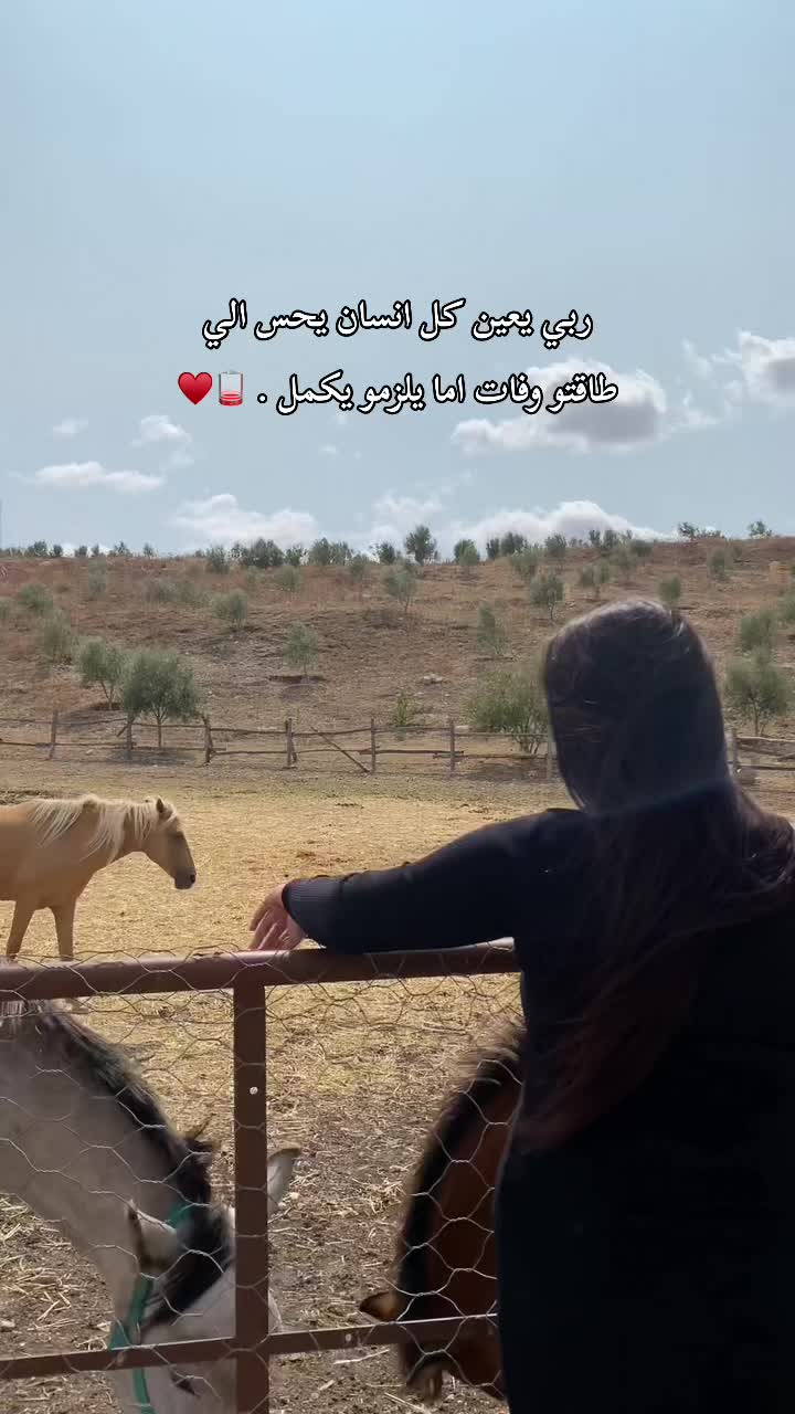 @إسلام بن مهذب