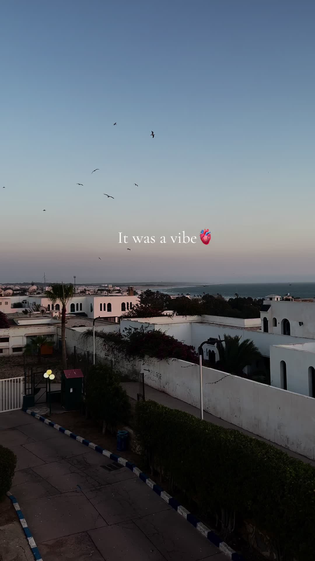 @saida_ix