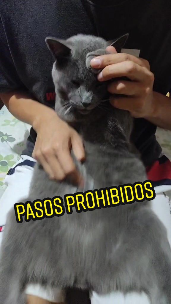 @pepe_el_gordillo