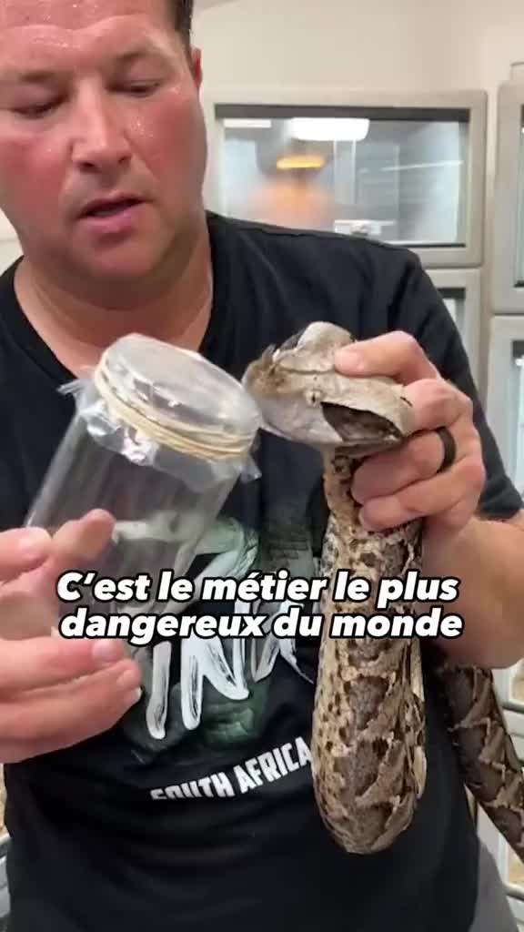 @Histoire du jour ✨