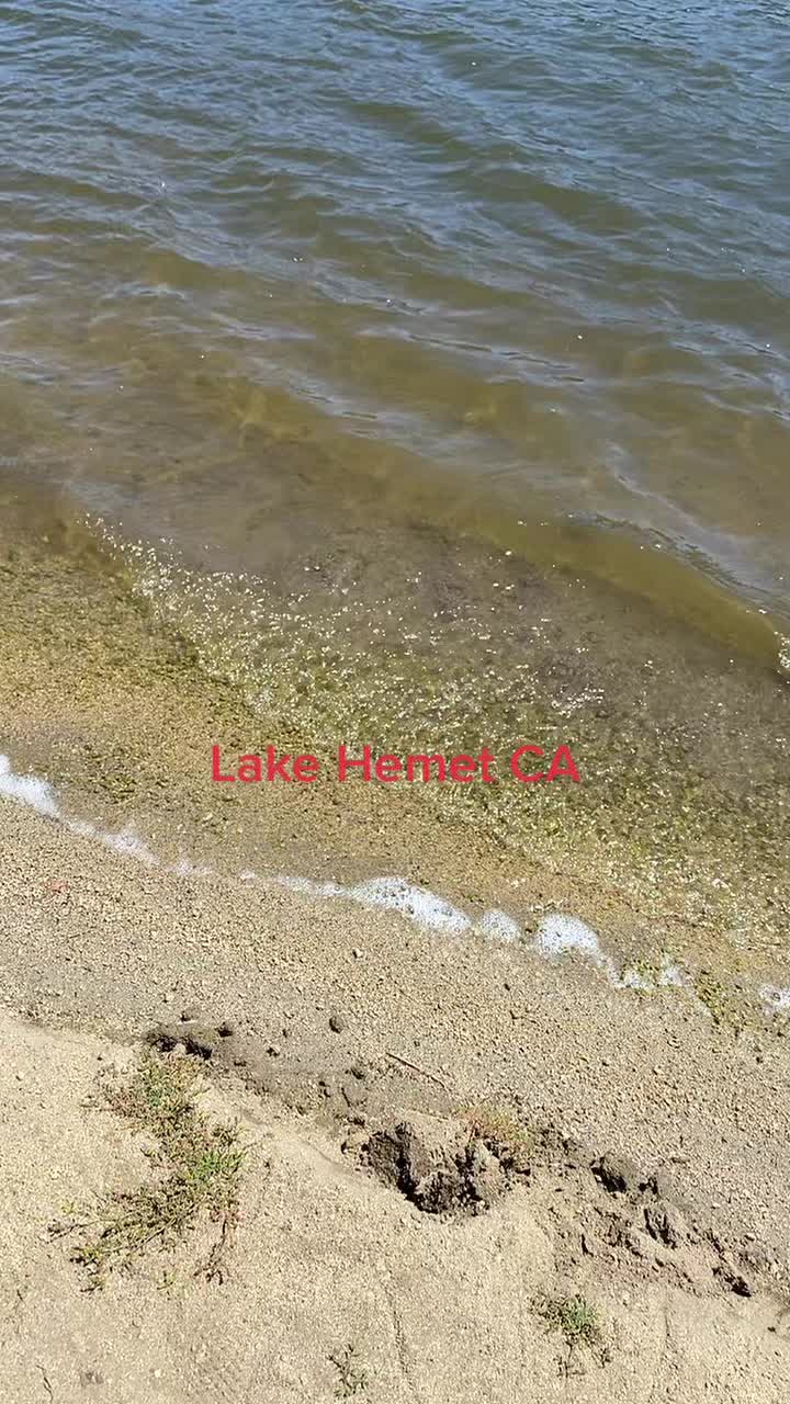 @Fishing247