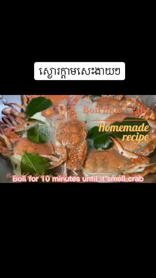 @Alicia ๐ชท