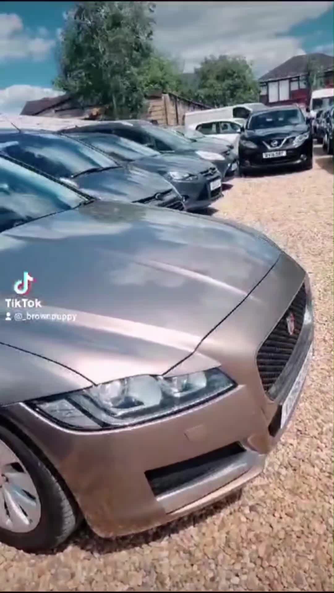 @Brownpuppy