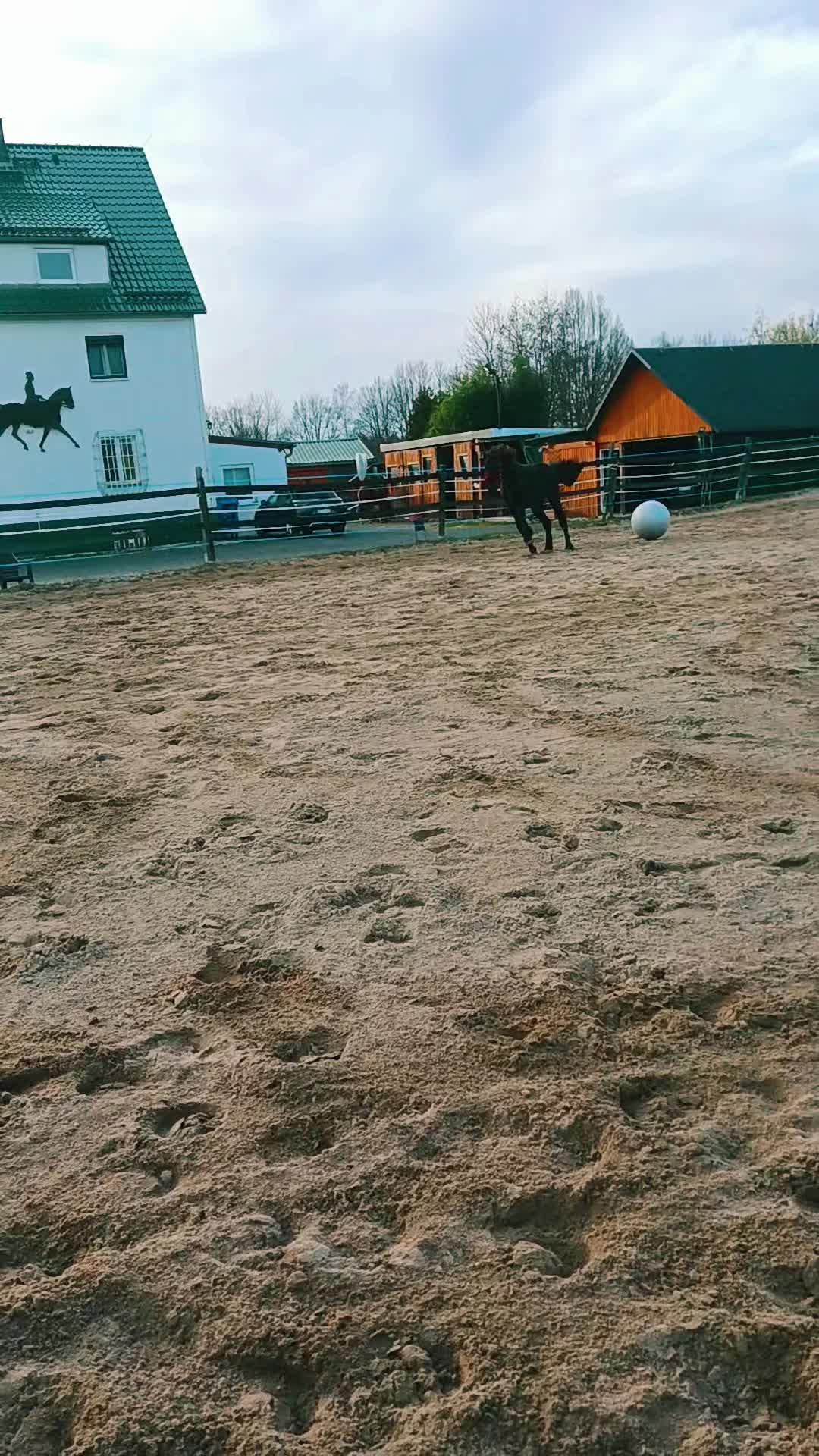 @jessicaschmidt307