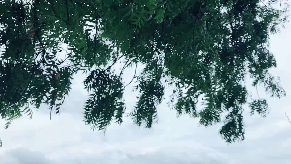 @Yadav