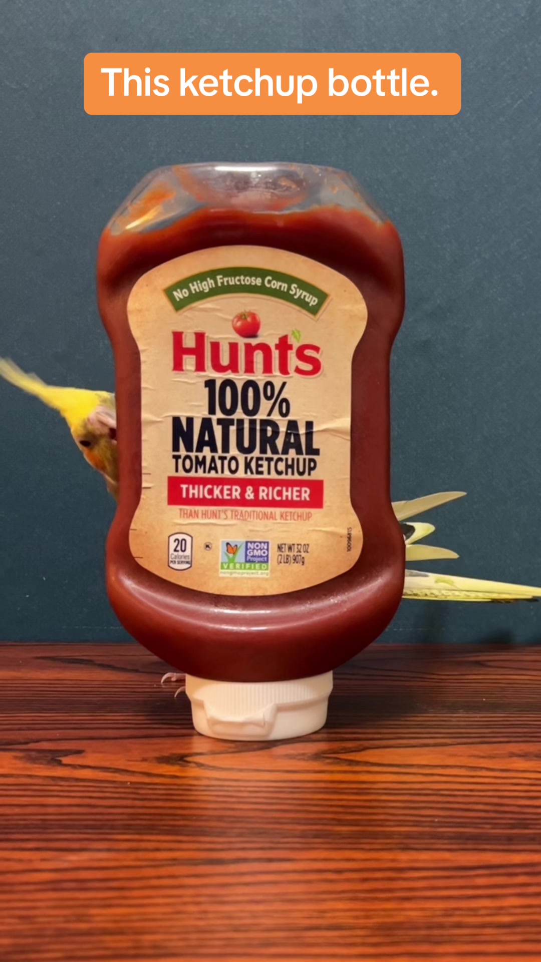 @NuggetandZeus