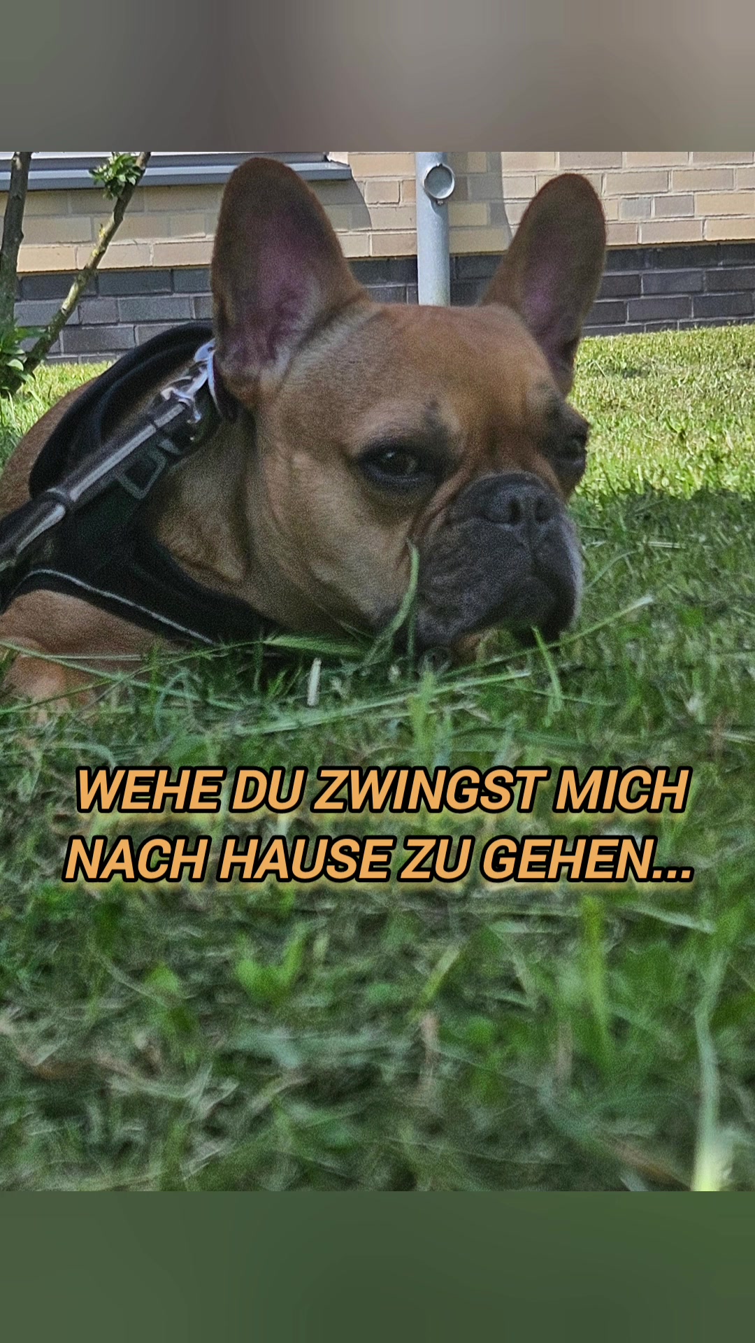@minenrw