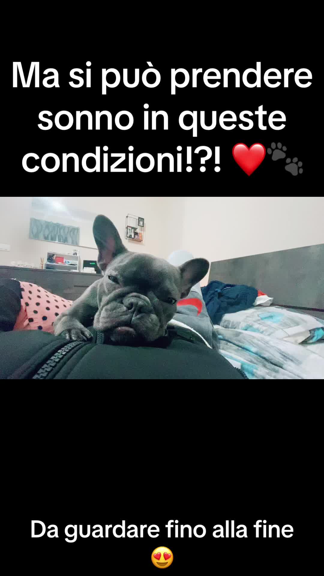 @Giorgia Pedone