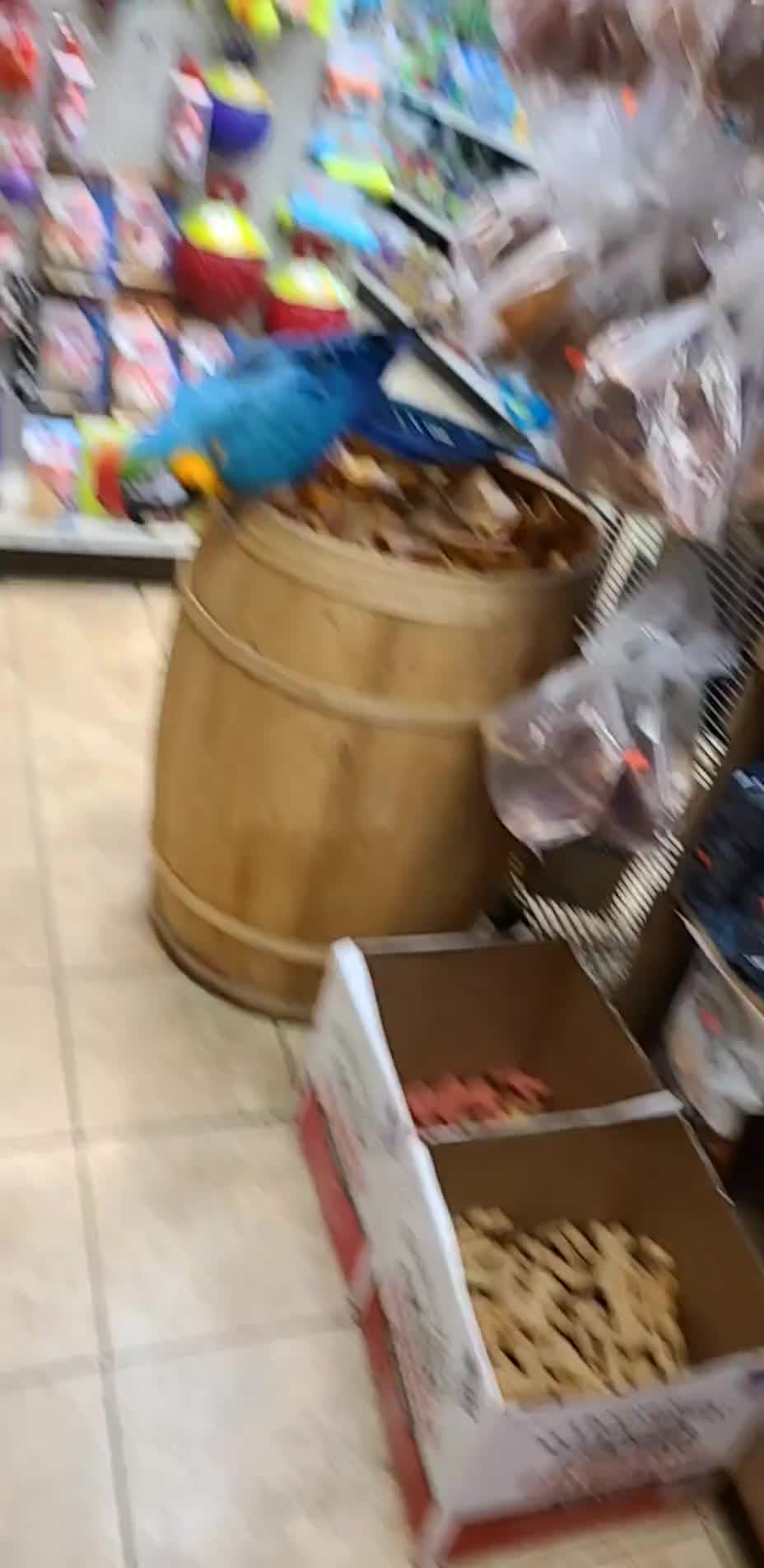 @fish⁷