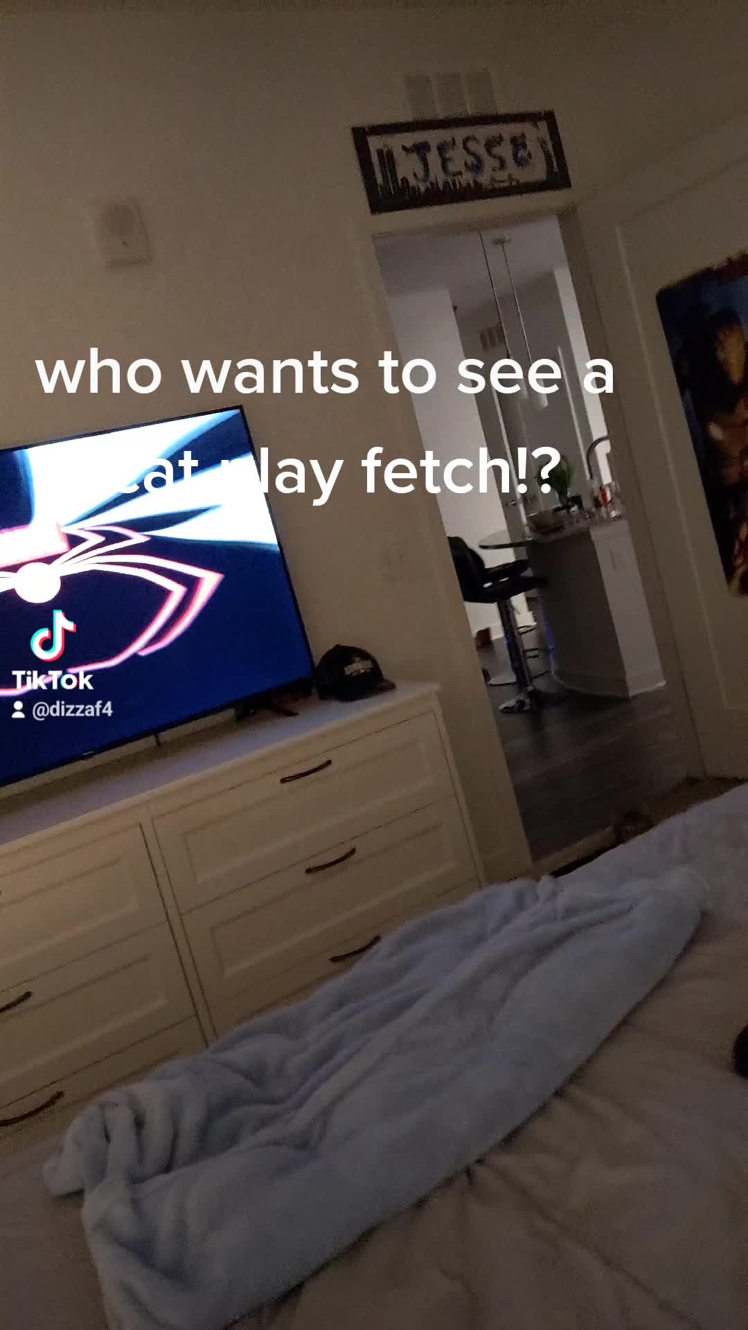 @JJ Raven