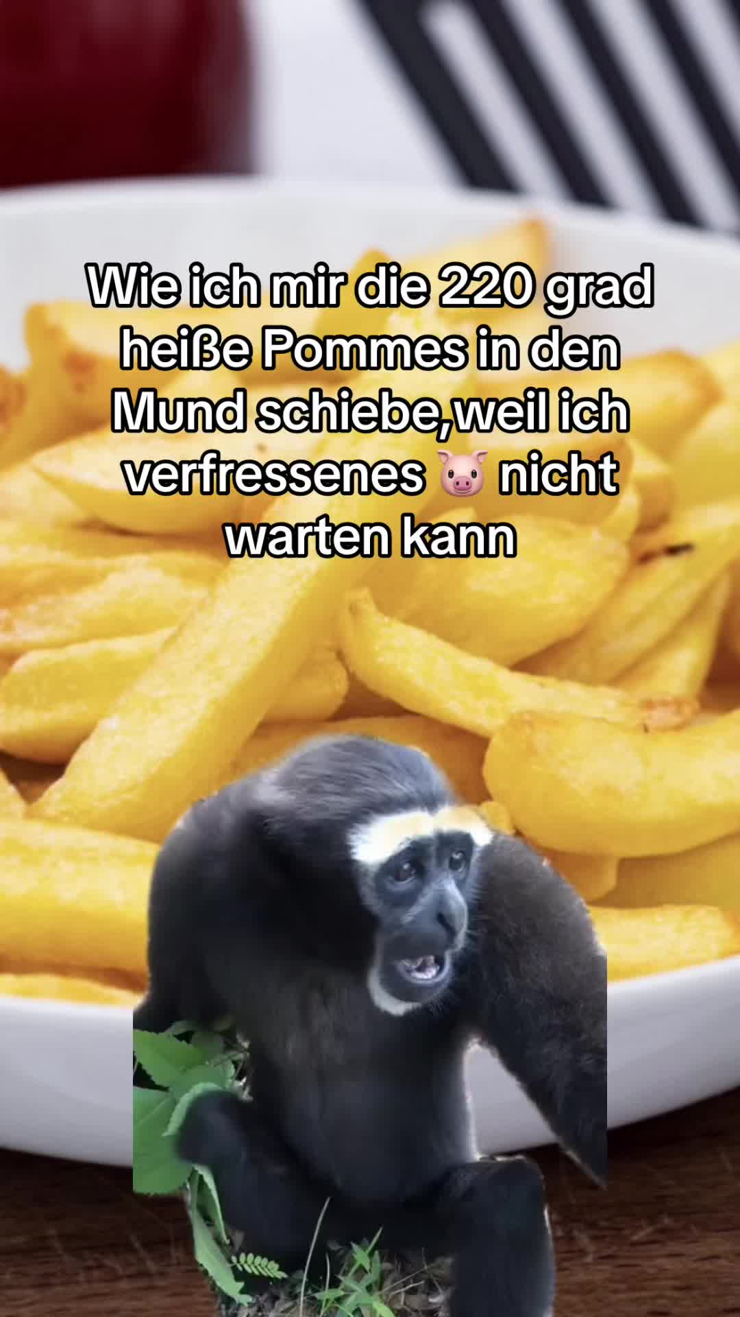 @Michi
