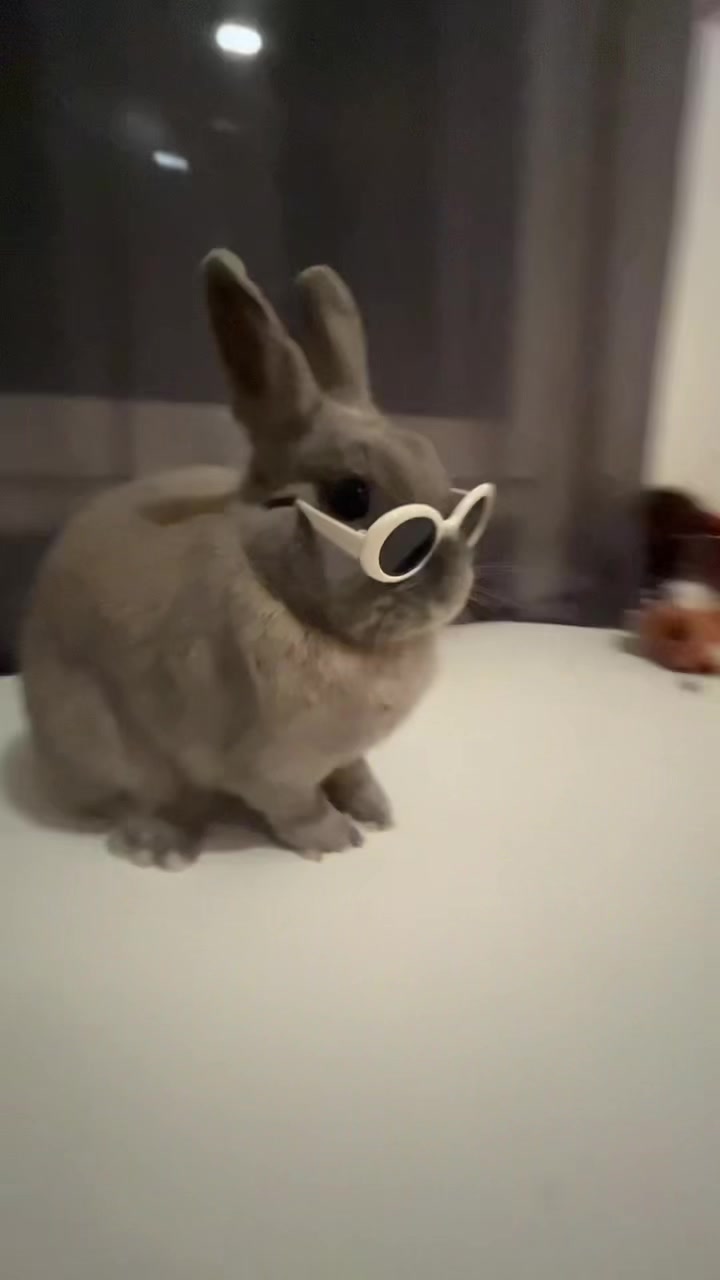 @PantoufleLapin