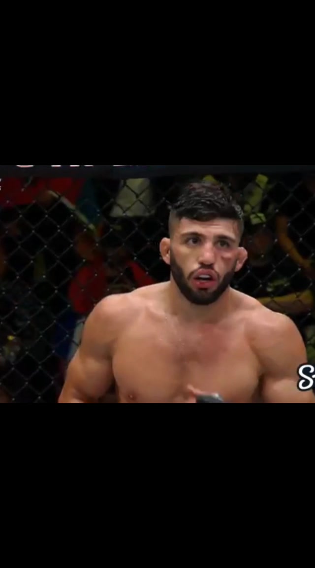 @Karate & UFC Hub