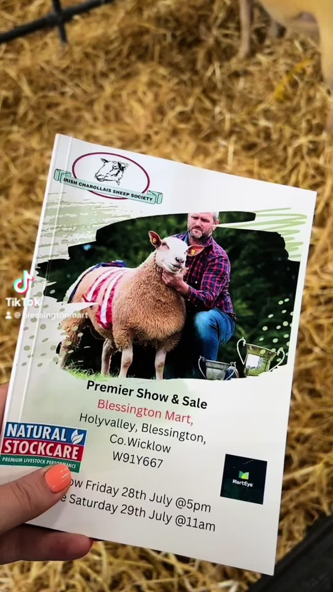 @Blessington_mart