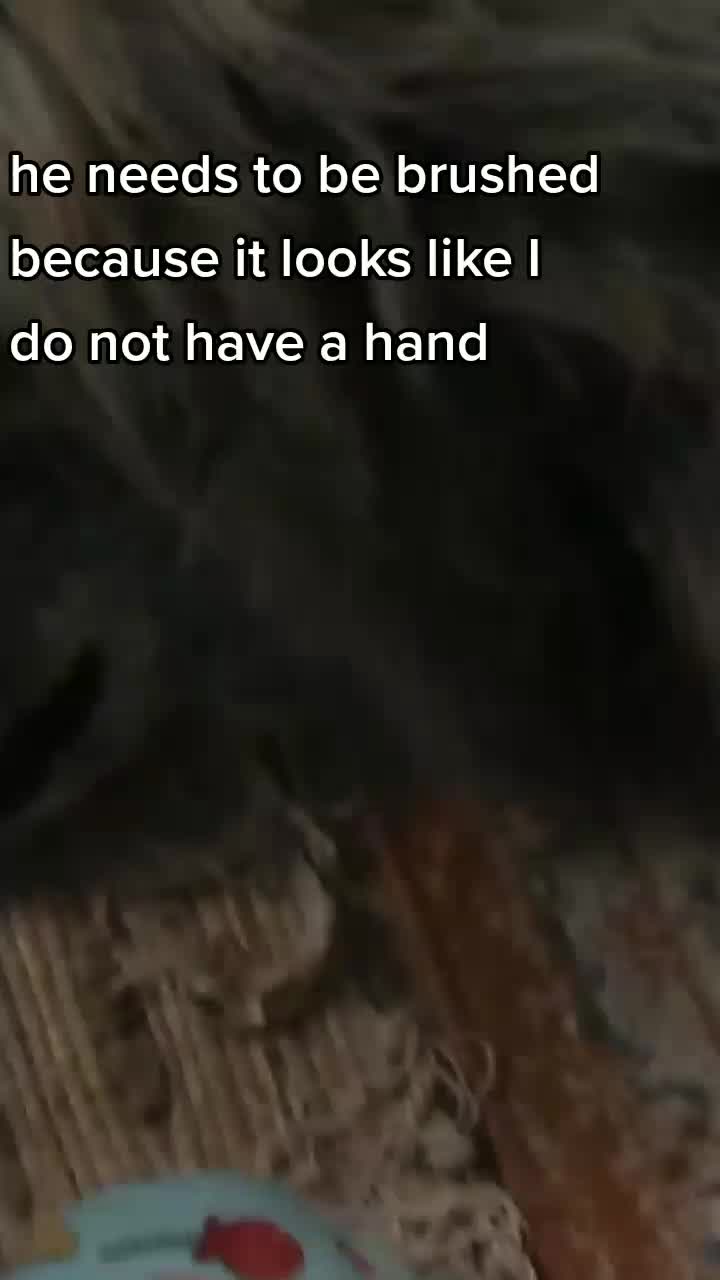 @gtg057