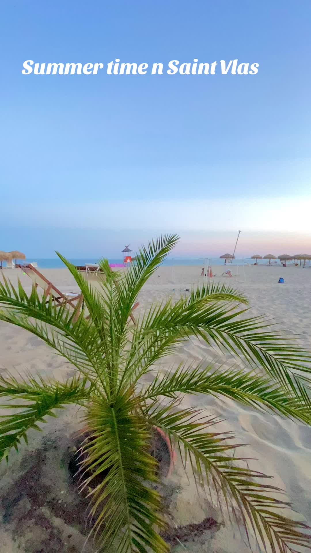 @suncoastresort