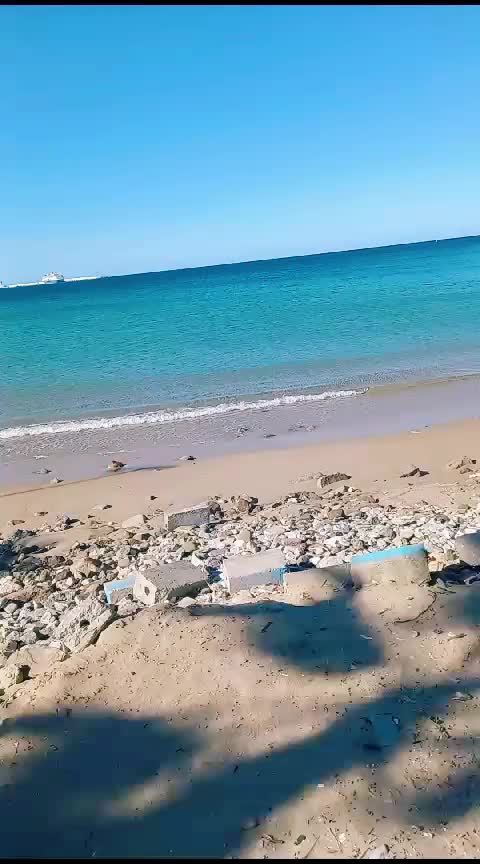 @🇨🇵Toni Mars🇨🇵
