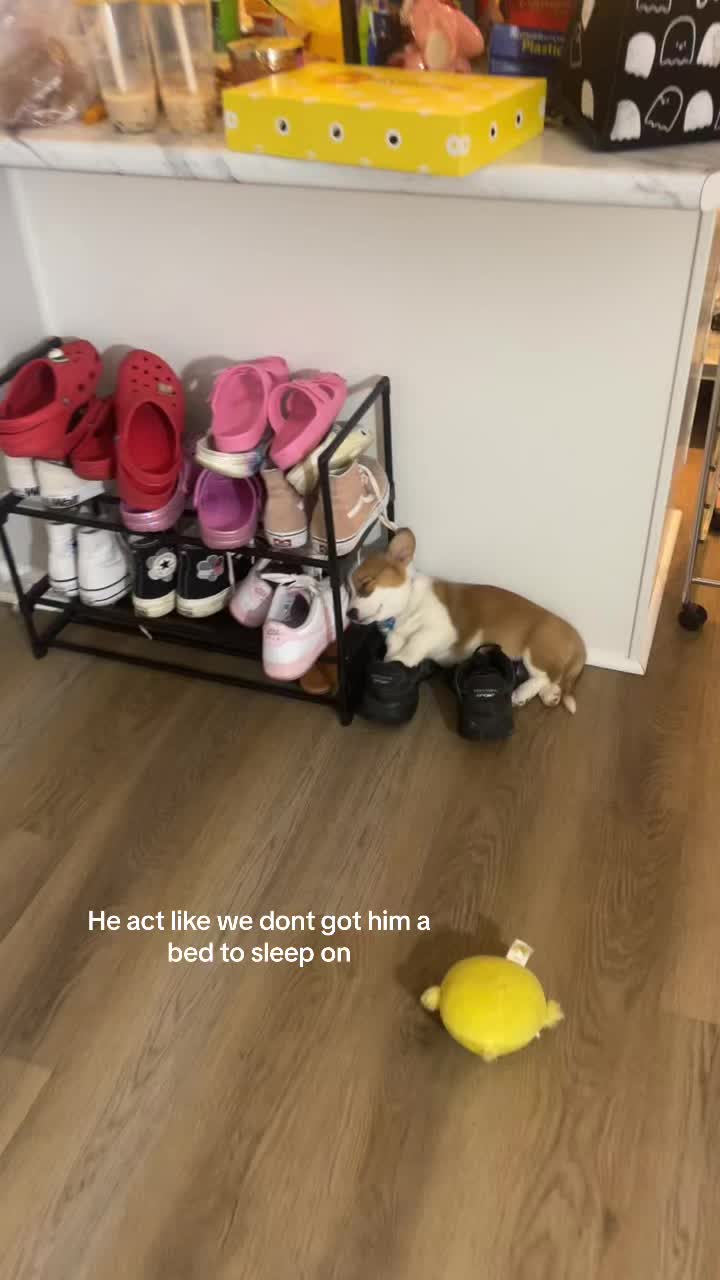 @aerusroommate