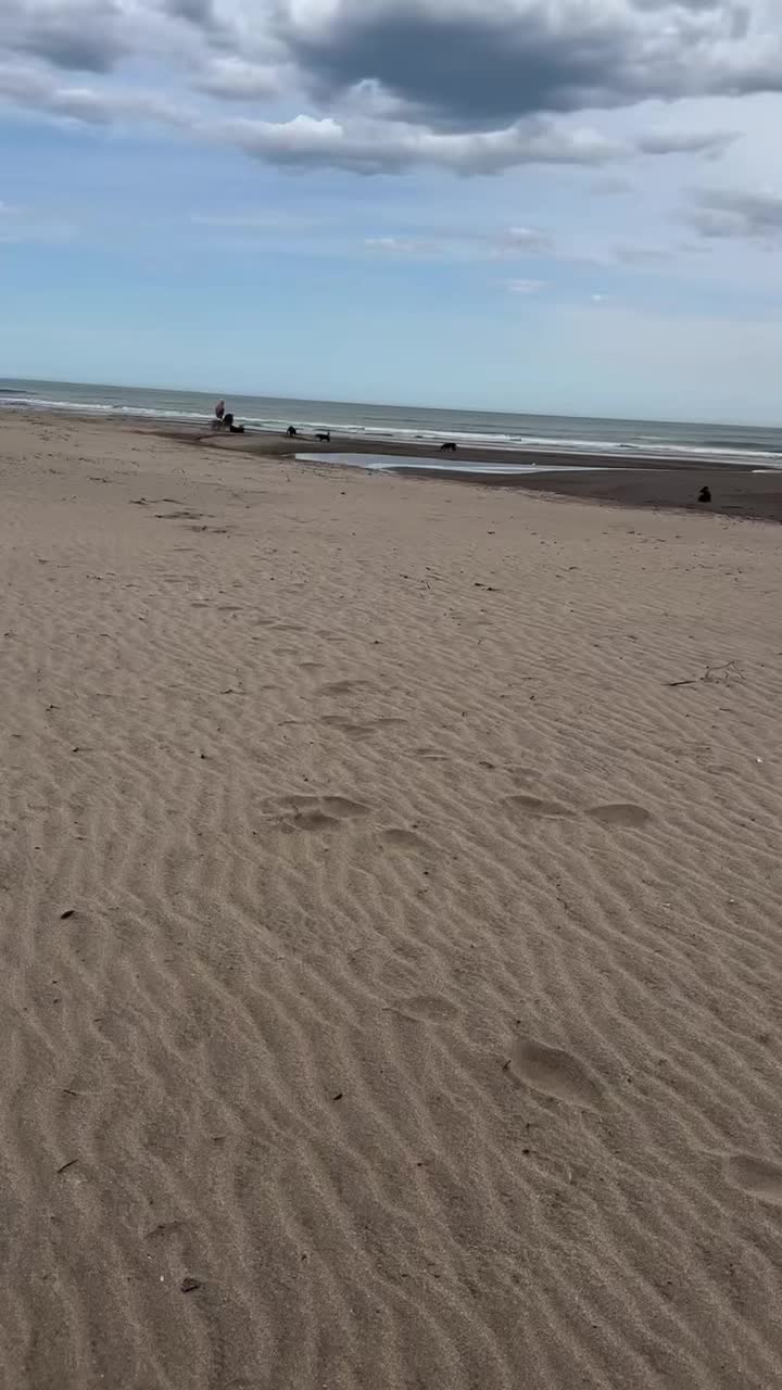 @gissellealdana2626